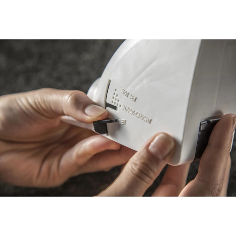 New 𧨠Tomcat Kill & Contain Covered Animal Trap For Mice 2 pk β 6 New 𧨠Tomcat Kill & Contain Covered Animal Trap For Mice 2 pk β - Image 4