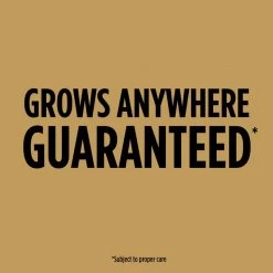 Top 10 ๐งจ Scotts EZ Seed Tall Fescue Grass Sun or Shade Pet/Dog Spot Grass Repair Seed 2 lb ๐ 16 Top 10 ๐งจ Scotts EZ Seed Tall Fescue Grass Sun or Shade Pet/Dog Spot Grass Repair Seed 2 lb ๐ -Scotts Sales Store 671d0645 13cf 4a65 b872 4aee8877ca8d