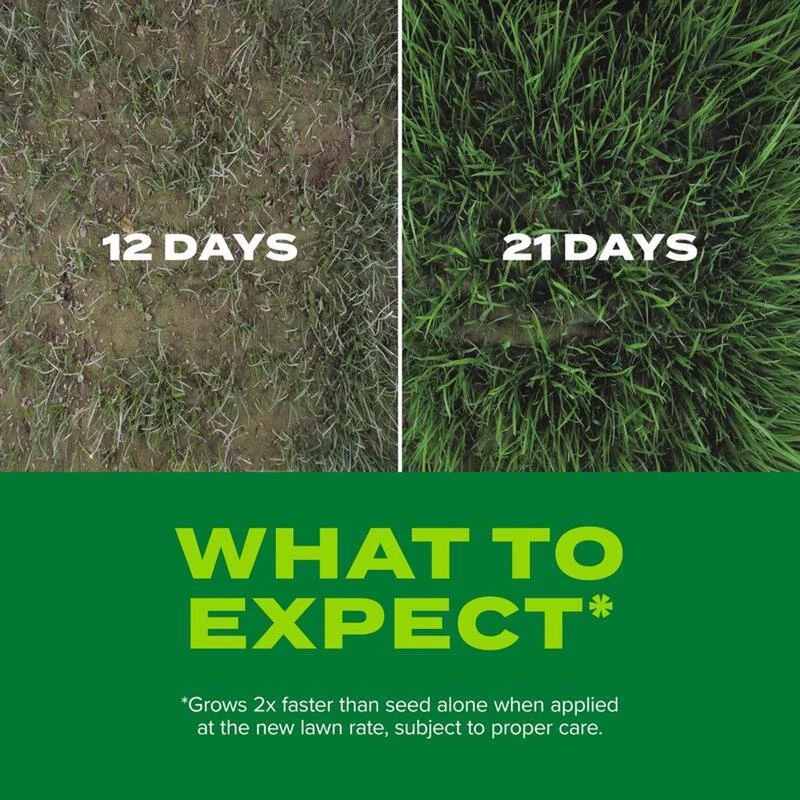 Brand new 🌟 Scotts Turf Builder Rapid Grass Mixed Sun or Shade Grass Seed and Fertilizer 5.6 lb 👍 9 Brand new 🌟 Scotts Turf Builder Rapid Grass Mixed Sun or Shade Grass Seed and Fertilizer 5.6 lb 👍 - Image 7