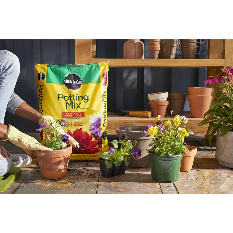 Discount ❤️ Miracle-Gro Flower and Plant Potting Mix 16 qt 💯 7 Discount ❤️ Miracle-Gro Flower and Plant Potting Mix 16 qt 💯 - Image 5