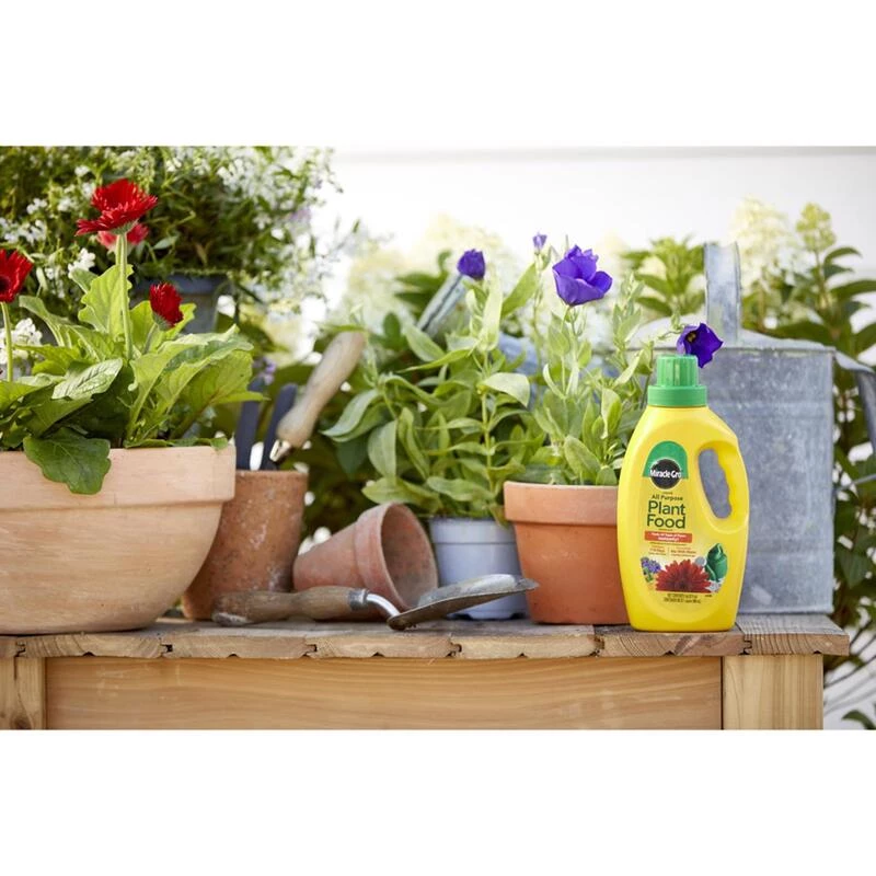 Outlet β¨ Miracle-Gro Liquid All Purpose Plant Food 1 qt π 5 Outlet β¨ Miracle-Gro Liquid All Purpose Plant Food 1 qt π - Image 3