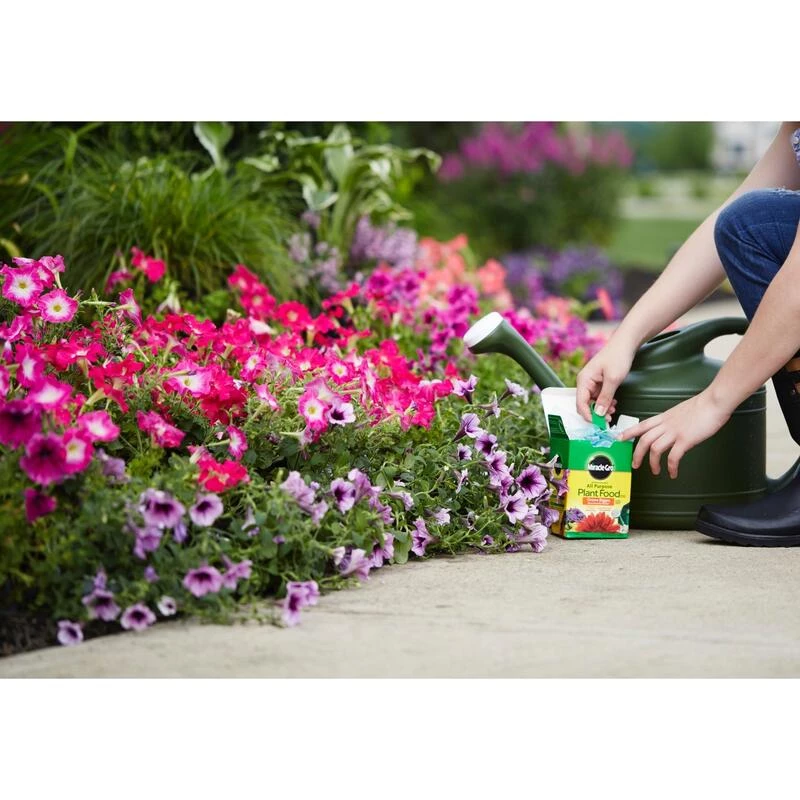 Outlet 🎁 Miracle-Gro Powder Plant Food 4 lb 🔔 6 Outlet 🎁 Miracle-Gro Powder Plant Food 4 lb 🔔 - Image 4
