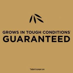 Best Sale ⌛ Scotts EZ Seed Centipede Grass Sun or Shade Grass Spot Repair Seed 10 lb 🔥 14 Best Sale ⌛ Scotts EZ Seed Centipede Grass Sun or Shade Grass Spot Repair Seed 10 lb 🔥 -Scotts Sales Store 6e288049 447f 4df2 ad0c 1fe3bf300932