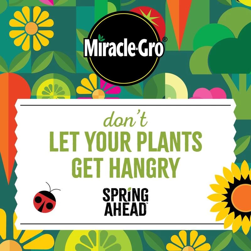 Cheapest 🎁 Miracle-Gro Spring Ahead Granules All Purpose Plant Food 3 lb 😀 11 Cheapest 🎁 Miracle-Gro Spring Ahead Granules All Purpose Plant Food 3 lb 😀 - Image 9