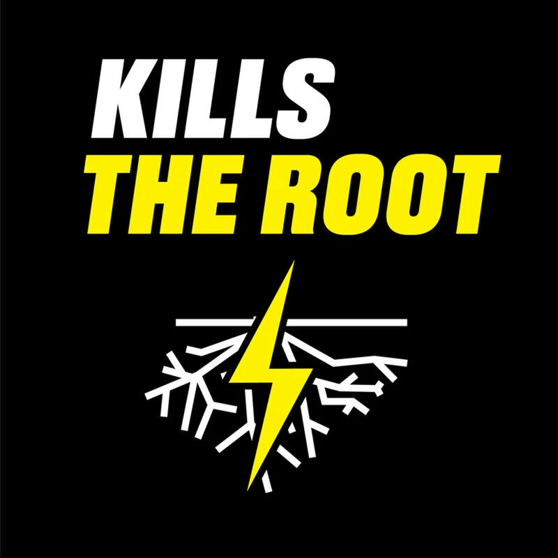 Cheapest ๐ Ortho GroundClear Poison Ivy Killer Concentrate 32 oz ๐ 6 Cheapest ๐ Ortho GroundClear Poison Ivy Killer Concentrate 32 oz ๐ - Image 4