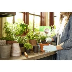 Cheap ๐ Miracle-Gro Indoor Plant Potting Soil 6 qt ๐คฉ 11 Cheap ๐ Miracle-Gro Indoor Plant Potting Soil 6 qt ๐คฉ -Scotts Sales Store 7626e072 4c36 4c88 9256 6e815446d320