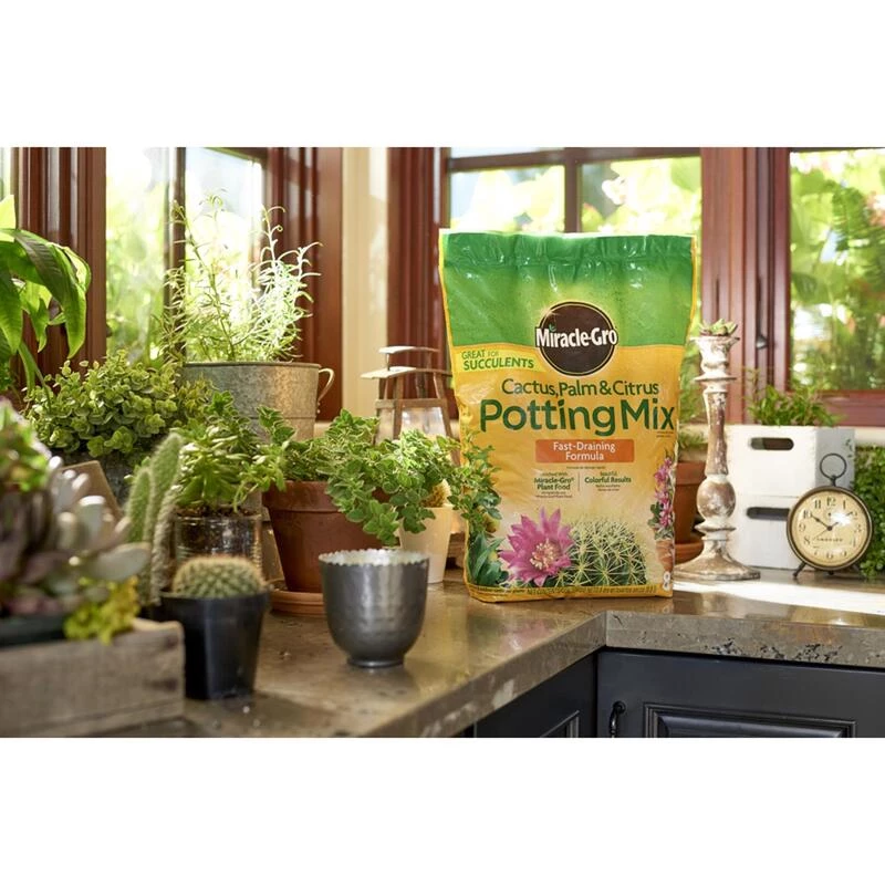 Best deal ๐งจ Miracle-Gro Cacti, Citrus and Palm Potting Mix 8 qt ๐ 4 Best deal ๐งจ Miracle-Gro Cacti, Citrus and Palm Potting Mix 8 qt ๐ - Image 2