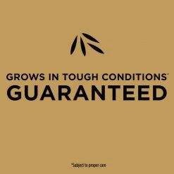 Cheap ๐ Scotts EZ Seed Bermuda Grass Sun or Shade Grass Spot Repair Seed 10 lb ๐ฏ 17 Cheap ๐ Scotts EZ Seed Bermuda Grass Sun or Shade Grass Spot Repair Seed 10 lb ๐ฏ -Scotts Sales Store 78b05032 88b7 41d1 b46e a53997cd3524