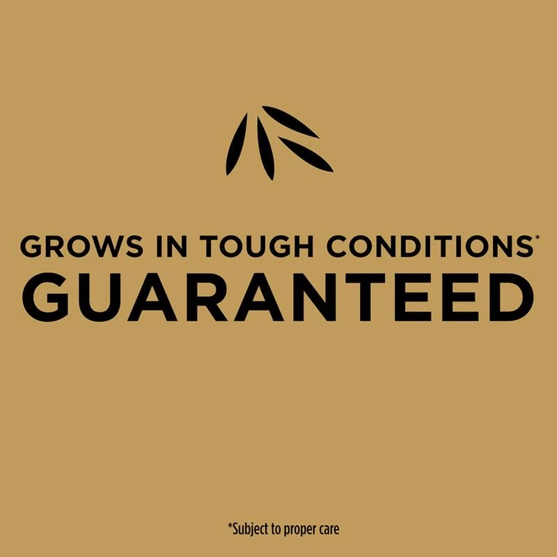 Cheap ๐ Scotts EZ Seed Bermuda Grass Sun or Shade Grass Spot Repair Seed 10 lb ๐ฏ 8 Cheap ๐ Scotts EZ Seed Bermuda Grass Sun or Shade Grass Spot Repair Seed 10 lb ๐ฏ - Image 6