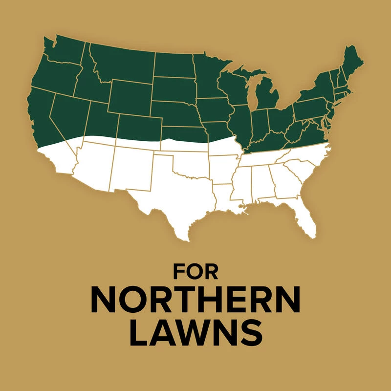 Outlet 👍 Scotts EZ Seed Mixed Sun or Shade Pet/Dog Spot Grass Repair Seed 2 lb 🛒 12 Outlet 👍 Scotts EZ Seed Mixed Sun or Shade Pet/Dog Spot Grass Repair Seed 2 lb 🛒 - Image 10