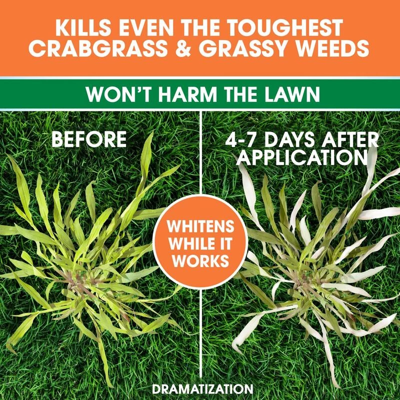 Buy ❤️ Roundup For Lawns Crabgrass Killer RTU Liquid 1 gal ❤️ 6 Buy ❤️ Roundup For Lawns Crabgrass Killer RTU Liquid 1 gal ❤️ - Image 4