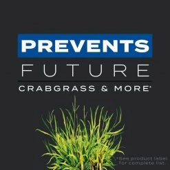 Cheapest ๐คฉ Scotts Turf Builder Triple Action Weed & Feed Lawn Fertilizer For Multiple Grass Types 12000 sq ft ๐ฅ 15 Cheapest ๐คฉ Scotts Turf Builder Triple Action Weed & Feed Lawn Fertilizer For Multiple Grass Types 12000 sq ft ๐ฅ -Scotts Sales Store 7f0a59b0 39b3 4e49 af57 b8686ef3324b