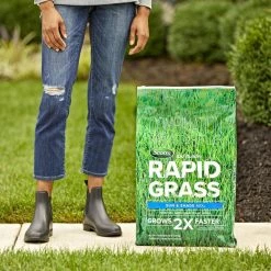 Best Sale 🔔 Scotts Turf Builder Rapid Grass Mixed Sun or Shade Grass Seed and Fertilizer 16 lb 🔔 -Scotts Sales Store 852cf6fa df78 48d3 a733 1613b3d3e8ea