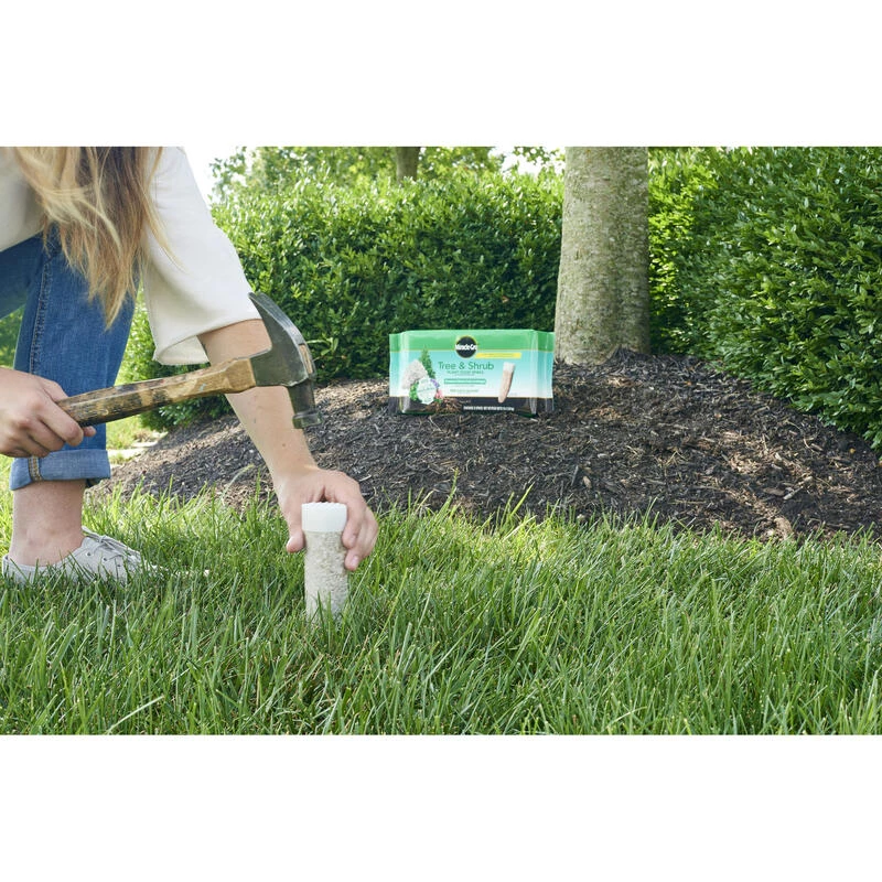 Brand new ๐ฅ Miracle-Gro Spikes Plant Food 12 pk โ๏ธ 8 Brand new ๐ฅ Miracle-Gro Spikes Plant Food 12 pk โ๏ธ - Image 6