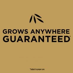 Cheap 🧨 Scotts EZ Seed Tall Fescue Grass Sun or Shade Seed/Fertilizer/Mulch Repair Kit 10 lb ✔️ -Scotts Sales Store 8968d3f8 f586 41c1 a5dd d1eef9f5d1fd