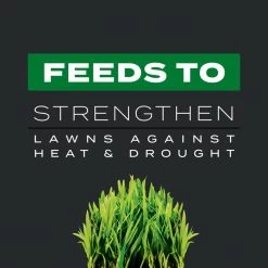 Buy ⭐ Scotts Turf Builder Southern Weed & Feed Lawn Fertilizer For Multiple Grass Types 4000 sq ft 🎁 -Scotts Sales Store 8f626372 3692 4301 805d 2bdca895e3c2