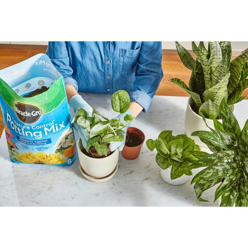 Discount โ๏ธ Miracle-Gro Moisture Control Flower and Plant Potting Mix 16 qt ๐ 5 Discount โ๏ธ Miracle-Gro Moisture Control Flower and Plant Potting Mix 16 qt ๐ - Image 3