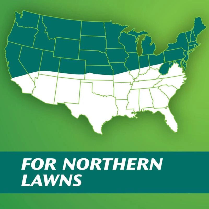 Promo ๐ Scotts Turf Builder Mixed Dense Shade/Full Sun Grass Seed 7 lb ๐ฏ 4 Promo ๐ Scotts Turf Builder Mixed Dense Shade/Full Sun Grass Seed 7 lb ๐ฏ - Image 2