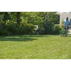 Best Pirce ✨ Scotts Turf Builder Southern All-Purpose Lawn Fertilizer For All Grasses 15000 sq ft 🌟 -Scotts Sales Store 9412f651 4eec 4fa6 a2bf 3e8ddf275762