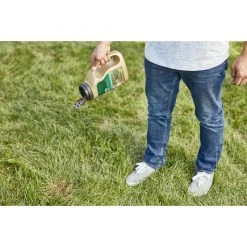 Outlet 👍 Scotts EZ Seed Mixed Sun or Shade Pet/Dog Spot Grass Repair Seed 2 lb 🛒 14 Outlet 👍 Scotts EZ Seed Mixed Sun or Shade Pet/Dog Spot Grass Repair Seed 2 lb 🛒 -Scotts Sales Store 95636d13 7d4e 4ab8 8737 f5772c01c1ce