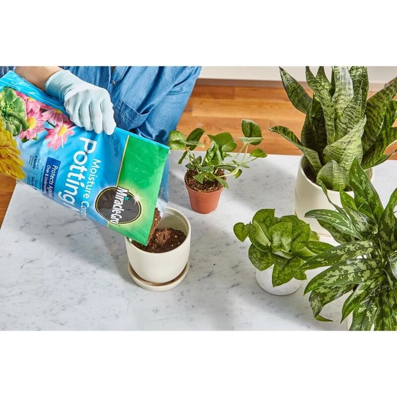 Promo π€© Miracle-Gro Moisture Control Flower and Plant Potting Mix 8 qt 𧨠4 Promo π€© Miracle-Gro Moisture Control Flower and Plant Potting Mix 8 qt 𧨠- Image 2