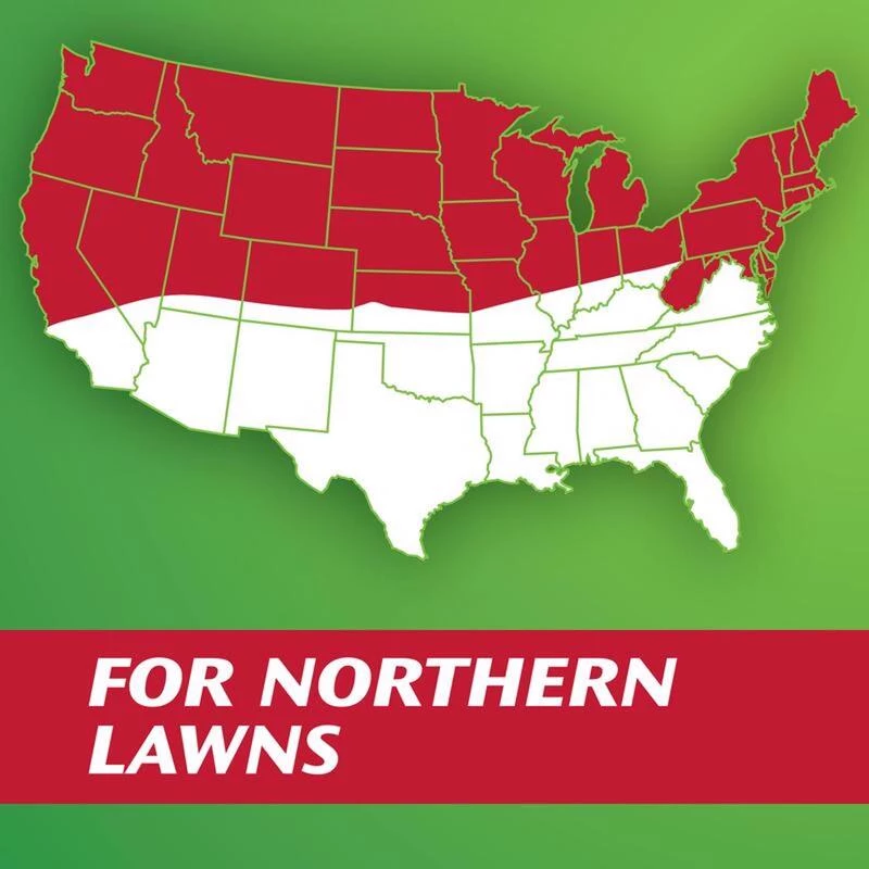 Buy 😀 Scotts Turf Builder Mixed Full Sun Grass Seed 3 lb ❤️ 5 Buy 😀 Scotts Turf Builder Mixed Full Sun Grass Seed 3 lb ❤️ - Image 3