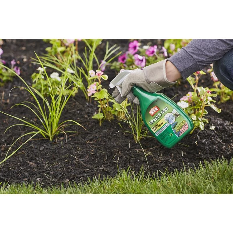 Best Pirce โค๏ธ Ortho Grass B Gon Weed and Grass Killer RTU Liquid 24 oz ๐ฅ 7 Best Pirce โค๏ธ Ortho Grass B Gon Weed and Grass Killer RTU Liquid 24 oz ๐ฅ - Image 5