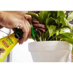 Best deal ✔️ Miracle-Gro Liquid Plant Food 8 oz 🛒 -Scotts Sales Store a5d05494 bdea 4364 9791 1e81d269c855