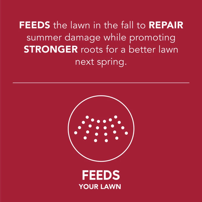 Outlet 🤩 Scotts Turf Builder WinterGuard Fall Lawn Fertilizer For All Grasses 5000 sq ft ✨ 5 Outlet 🤩 Scotts Turf Builder WinterGuard Fall Lawn Fertilizer For All Grasses 5000 sq ft ✨ - Image 3