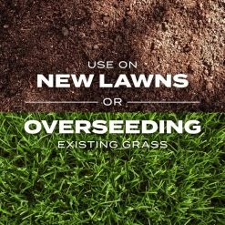 Best reviews of 👏 Scotts Turf Builder Rapid Grass Bermuda Grass Sun or Shade Grass Seed and Fertilizer 4 lb 😍 18 Best reviews of 👏 Scotts Turf Builder Rapid Grass Bermuda Grass Sun or Shade Grass Seed and Fertilizer 4 lb 😍 -Scotts Sales Store ae6e718b 1b2e 409e 89fe 5c3b9f9095bf