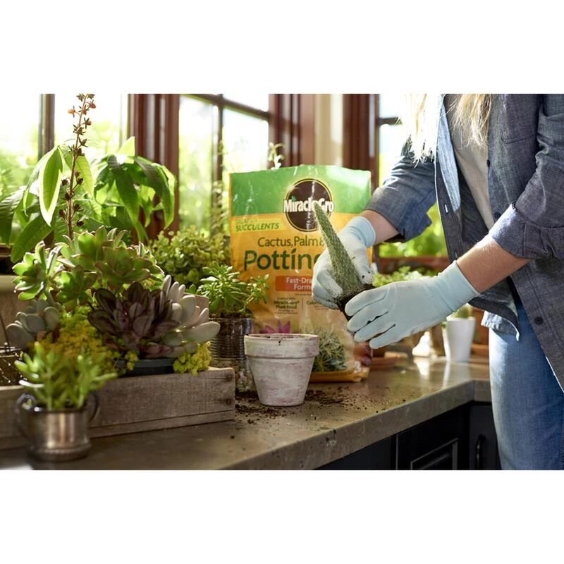 Best deal ๐งจ Miracle-Gro Cacti, Citrus and Palm Potting Mix 8 qt ๐ 7 Best deal ๐งจ Miracle-Gro Cacti, Citrus and Palm Potting Mix 8 qt ๐ - Image 5