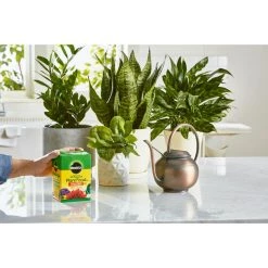 Best Pirce 🧨 Miracle-Gro Powder Plant Food 1.5 lb 🧨 -Scotts Sales Store b6cebd4f 282c 4819 96b8 2fea81790437