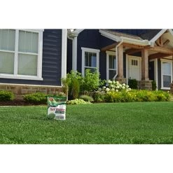 New ✨ Scotts Turf Builder All-Purpose Lawn Food For All Grasses 5000 sq ft 👏 15 New ✨ Scotts Turf Builder All-Purpose Lawn Food For All Grasses 5000 sq ft 👏 -Scotts Sales Store ba85b92a bea2 42de a821 b9aa87ef38ff