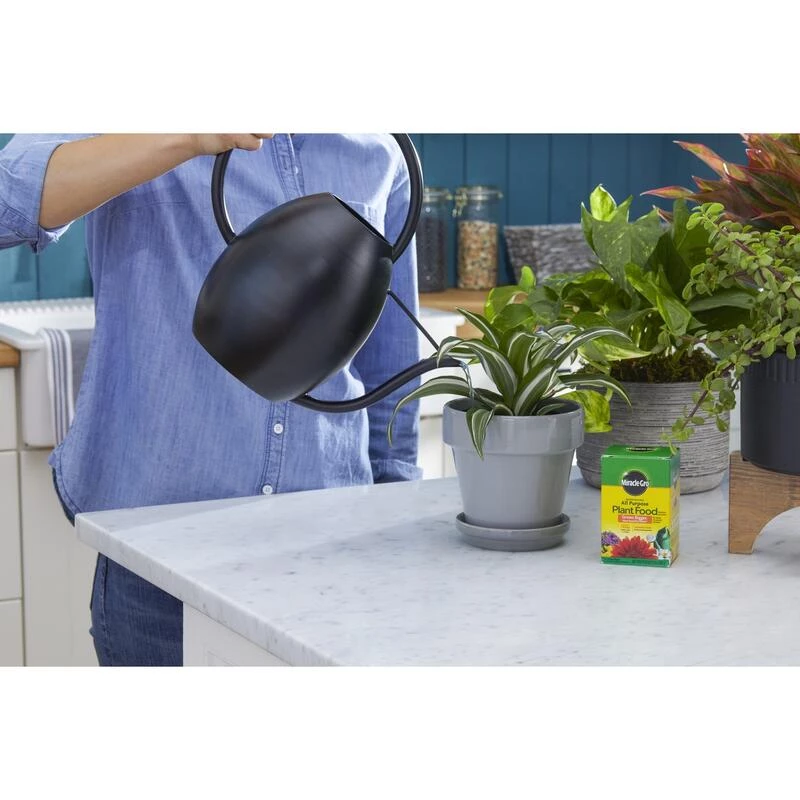 Outlet ๐ Miracle-Gro Granules Tomato, Tulips, Strawberries Plant Food 8 oz ๐ฏ 9 Outlet ๐ Miracle-Gro Granules Tomato, Tulips, Strawberries Plant Food 8 oz ๐ฏ - Image 7