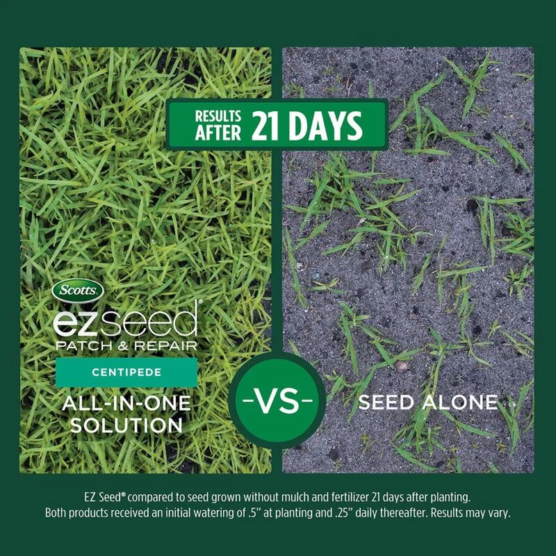Best Sale ⌛ Scotts EZ Seed Centipede Grass Sun or Shade Grass Spot Repair Seed 10 lb 🔥 7 Best Sale ⌛ Scotts EZ Seed Centipede Grass Sun or Shade Grass Spot Repair Seed 10 lb 🔥 - Image 5