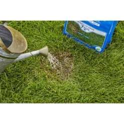 Cheap ๐คฉ Scotts PatchMaster Mixed Sun or Shade Grass Spot Repair Seed 4.75 lb ๐ 14 Cheap ๐คฉ Scotts PatchMaster Mixed Sun or Shade Grass Spot Repair Seed 4.75 lb ๐ -Scotts Sales Store c2de5c1e b53f 4b71 9772 2e24f44f2eac