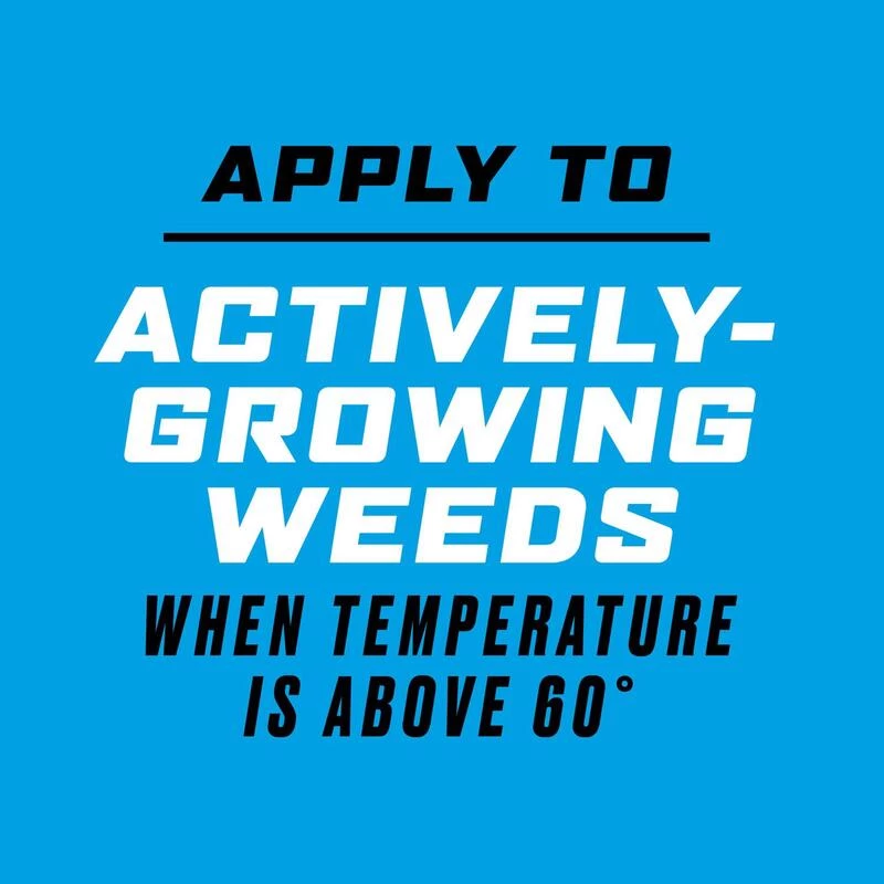 Outlet ๐ Ortho GroundClear Weed and Grass Killer RTU Liquid 24 oz โญ 8 Outlet ๐ Ortho GroundClear Weed and Grass Killer RTU Liquid 24 oz โญ - Image 6