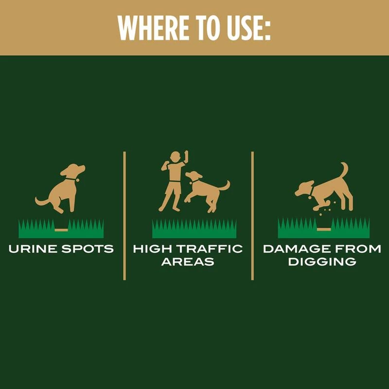 Top 10 ๐งจ Scotts EZ Seed Tall Fescue Grass Sun or Shade Pet/Dog Spot Grass Repair Seed 2 lb ๐ 4 Top 10 ๐งจ Scotts EZ Seed Tall Fescue Grass Sun or Shade Pet/Dog Spot Grass Repair Seed 2 lb ๐ - Image 2