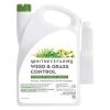 Outlet 🛒 Whitney Farms Weed and Grass Control RTU Liquid 1 gal 🔔 1 Outlet 🛒 Whitney Farms Weed and Grass Control RTU Liquid 1 gal 🔔 -Scotts Sales Store c5bdc74b 364c 4825 b393 92ae0dd47a14