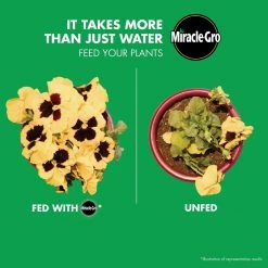 Cheap 🔥 Miracle-Gro Liquid Concentrate All Purpose Plant Food 1 lb 🧨 -Scotts Sales Store cc5595c5 30e2 4ff9 bff1 c0dedddd93dd