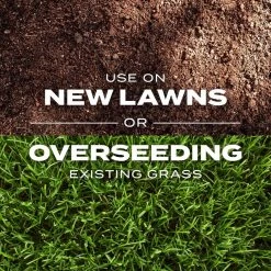 Promo 💯 Scotts Turf Builder Rapid Grass Bermuda Grass Sun or Shade Grass Seed and Fertilizer 8 lb 🎉 18 Promo 💯 Scotts Turf Builder Rapid Grass Bermuda Grass Sun or Shade Grass Seed and Fertilizer 8 lb 🎉 -Scotts Sales Store cd56d7ae 91ac 42a5 b221 0da015618ab4