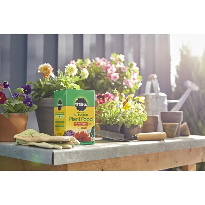 Deals 🔔 Miracle-Gro Powder All Purpose Plant Food 3 lb 🎁 4 Deals 🔔 Miracle-Gro Powder All Purpose Plant Food 3 lb 🎁 - Image 2