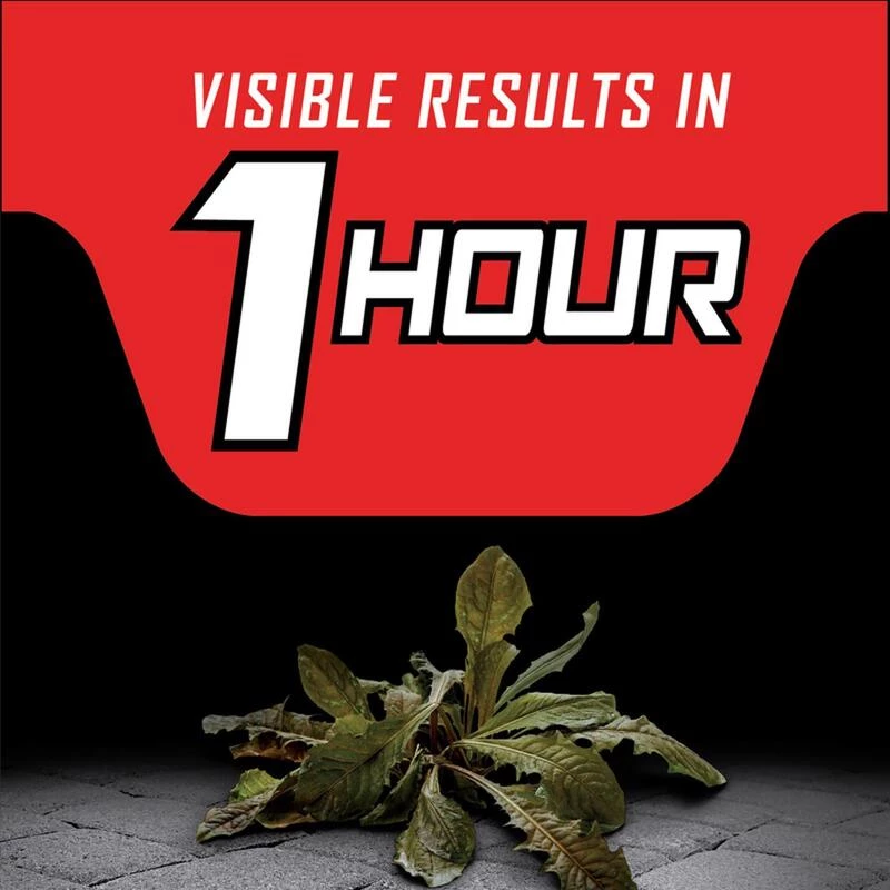 Budget ❤️ Ortho GroundClear Year Long Vegetation Killer Refill RTU Liquid 1.33 gal 🤩 5 Budget ❤️ Ortho GroundClear Year Long Vegetation Killer Refill RTU Liquid 1.33 gal 🤩 - Image 3