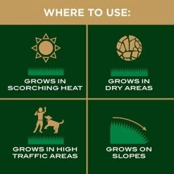 Cheap ๐ Scotts EZ Seed Bermuda Grass Sun or Shade Grass Spot Repair Seed 10 lb ๐ฏ 18 Cheap ๐ Scotts EZ Seed Bermuda Grass Sun or Shade Grass Spot Repair Seed 10 lb ๐ฏ -Scotts Sales Store d006c87e 416f 4f78 8fa0 30d5322574a1