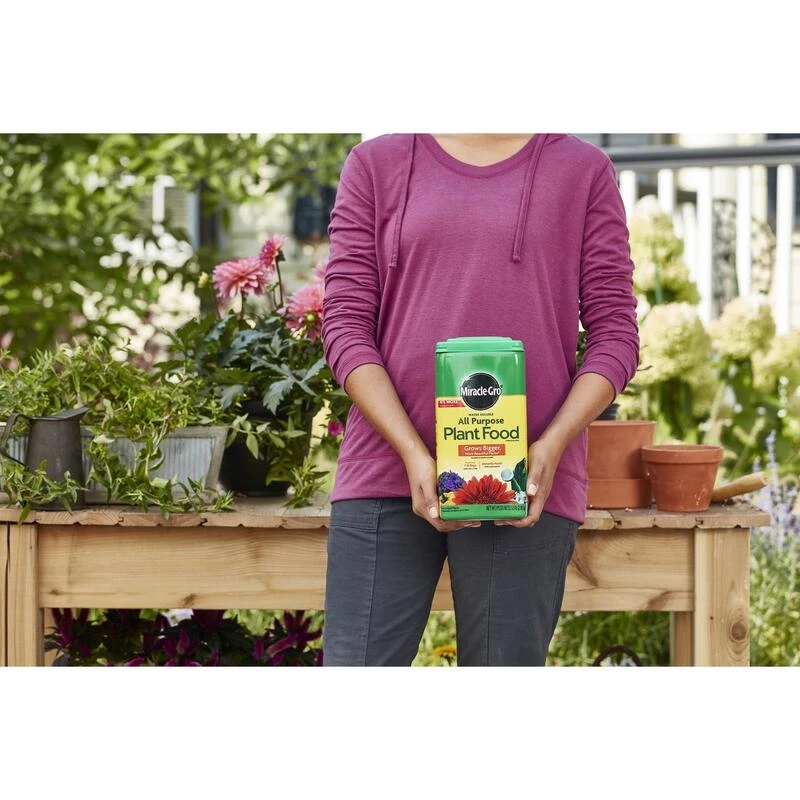 Coupon โค๏ธ Miracle-Gro Granules All Purpose Plant Food 5.5 lb ๐ 5 Coupon โค๏ธ Miracle-Gro Granules All Purpose Plant Food 5.5 lb ๐ - Image 3
