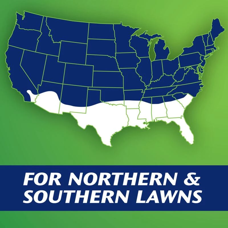 Outlet ⌛ Scotts Turf Builder Heat-Tolerant Blue Mix Tall Fescue Grass Full Sun/Medium Shade Grass Seed 7 lb ✔️ 4 Outlet ⌛ Scotts Turf Builder Heat-Tolerant Blue Mix Tall Fescue Grass Full Sun/Medium Shade Grass Seed 7 lb ✔️ - Image 2