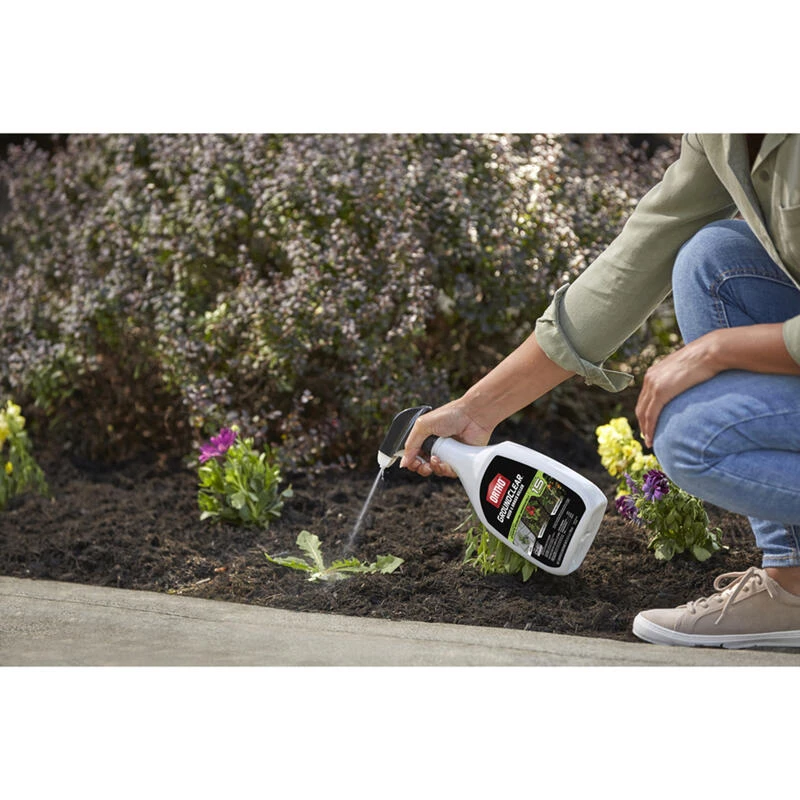 Discount ๐ Ortho GroundClear Weed and Grass Killer RTU Liquid 24 oz ๐ 10 Discount ๐ Ortho GroundClear Weed and Grass Killer RTU Liquid 24 oz ๐ - Image 8