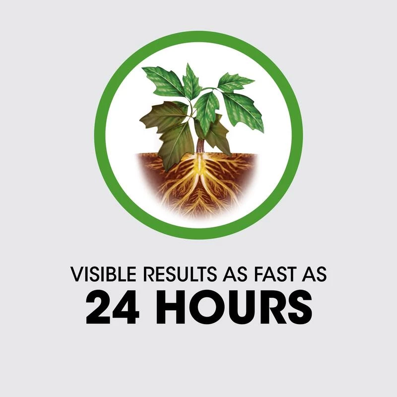 Flash Sale โ๏ธ Roundup Poison Ivy Killer RTU Liquid 24 oz ๐ 10 Flash Sale โ๏ธ Roundup Poison Ivy Killer RTU Liquid 24 oz ๐ - Image 8