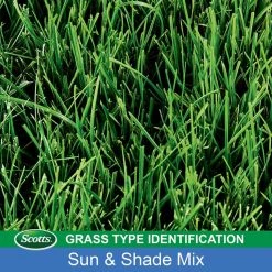 Promo ⌛ Scotts Turf Builder Mixed Sun or Shade Grass Seed 20 lb ⭐ -Scotts Sales Store d9e6d23d 1dab 4bad 84d8 aed09e19e2f0