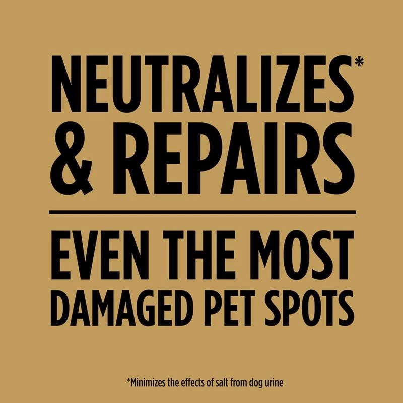 Top 10 ๐งจ Scotts EZ Seed Tall Fescue Grass Sun or Shade Pet/Dog Spot Grass Repair Seed 2 lb ๐ 6 Top 10 ๐งจ Scotts EZ Seed Tall Fescue Grass Sun or Shade Pet/Dog Spot Grass Repair Seed 2 lb ๐ - Image 4